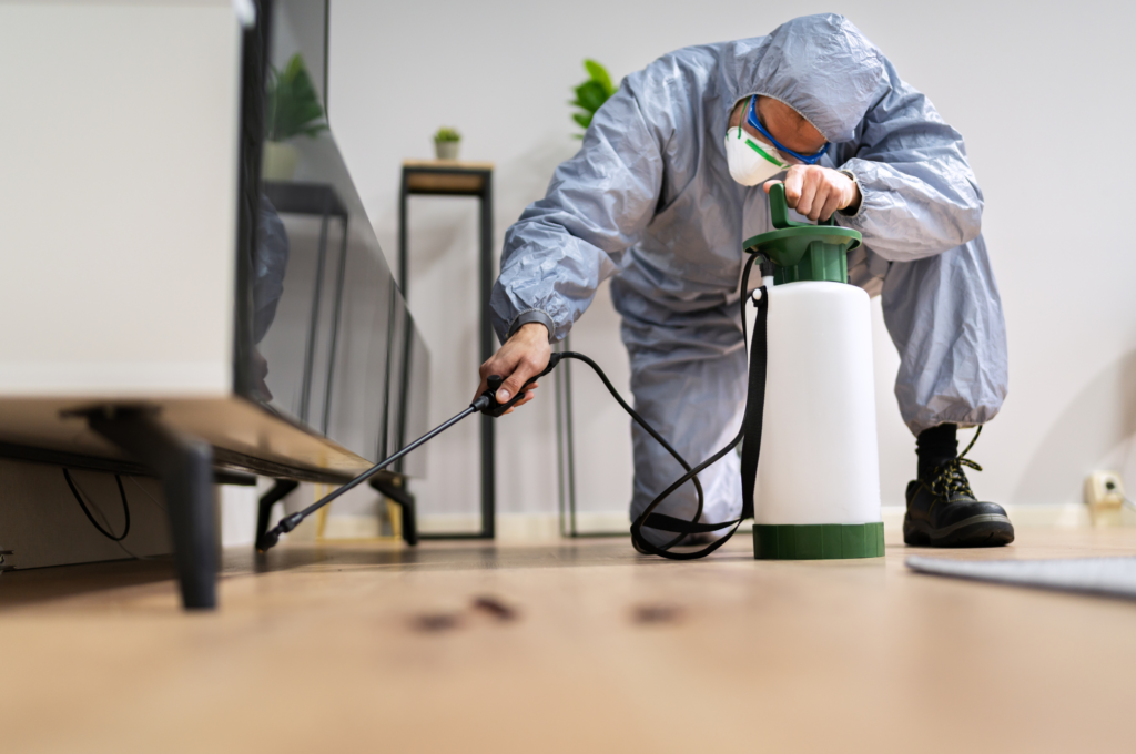 A professional pest control technician in La Habra spraying pesticide under furniture to eliminate household pests and prevent infestations.